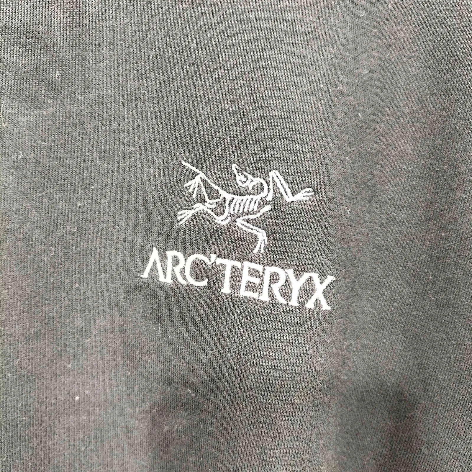 アークテリクス ARCTERYX 25AW EMBLEM FLEECE CREW エンブレム