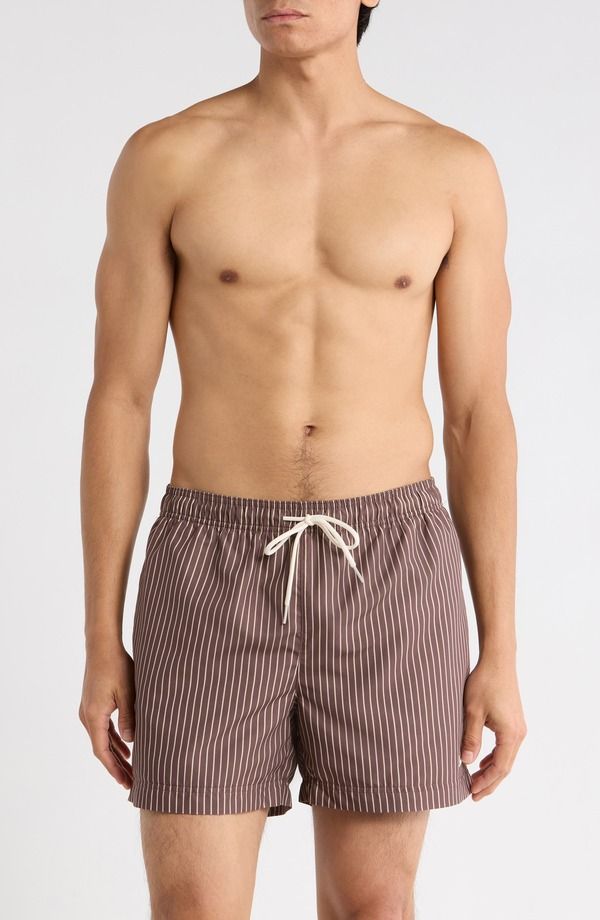 パクサン メンズ 水着 ハーフパンツ・ショーツ PacSun Bailey Pinstripe Swim Trunks Brown Tan ブラウン