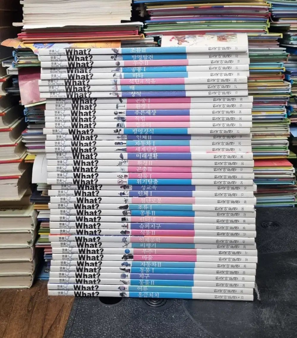 ブランド原理科学学習漫画 What 韓国アムンセン 40巻 セット 子供向けの本 中古本