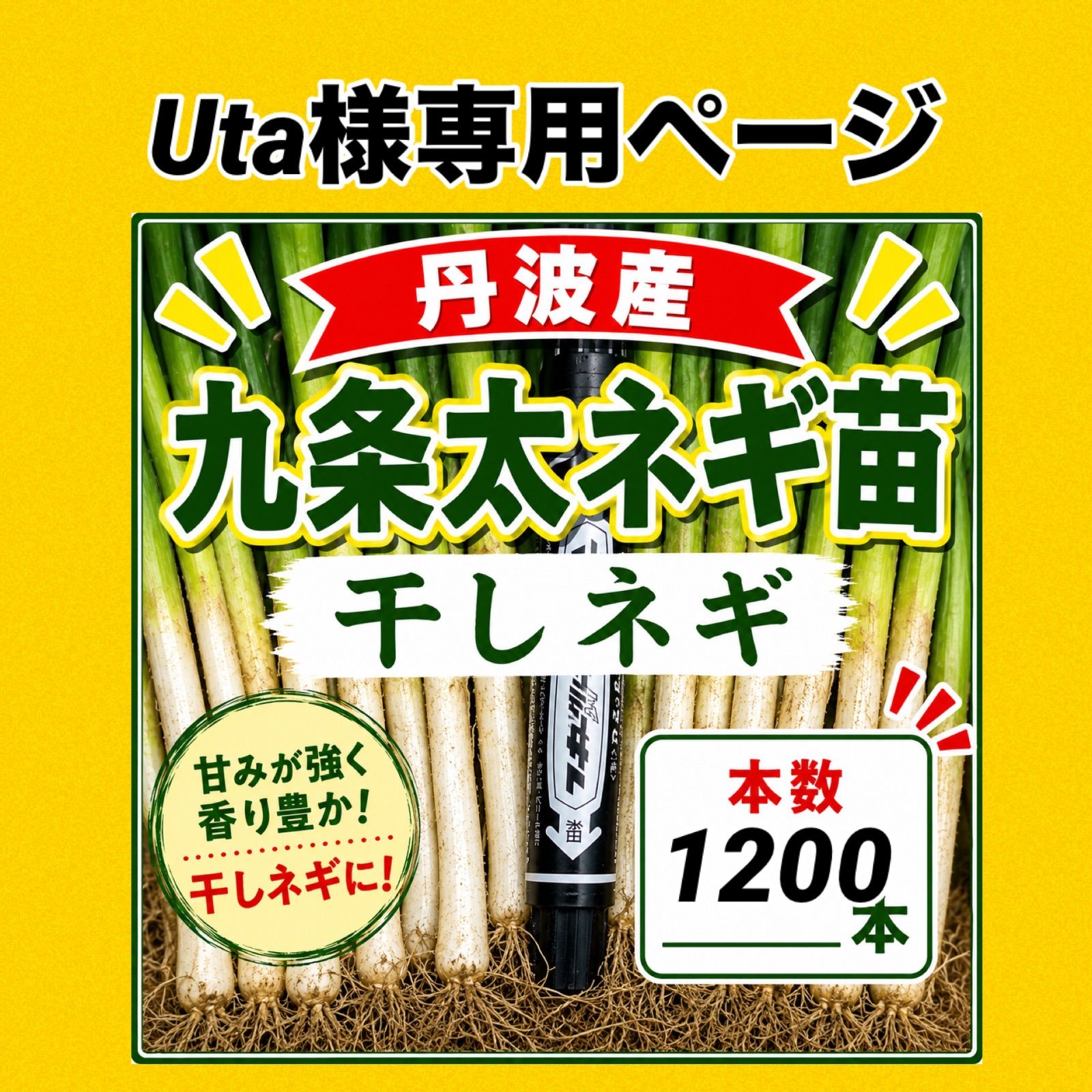 Uta様専用ページ‼️干しネギ1,200本‼️九条太ネギ苗‼️