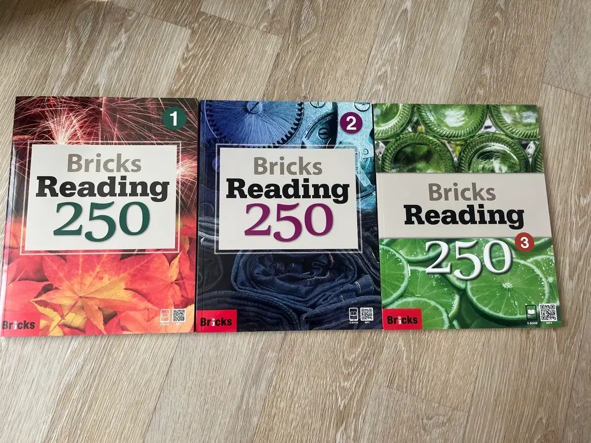 BRIC'S リーディング 250 Bricks Reading
