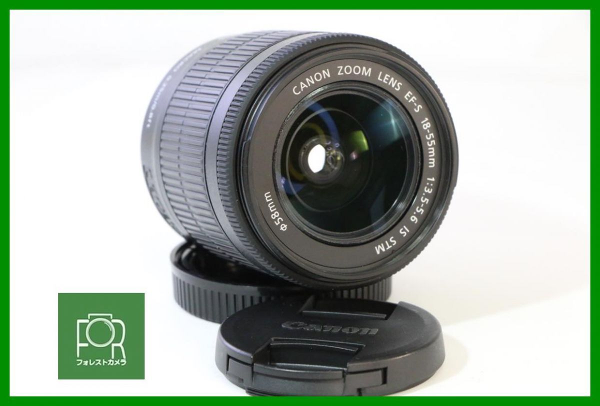 【動作保証・点検済】極上品■CANON EF-S 18-55mm F3.5-5.6 IS STM (508204041118)■AD164