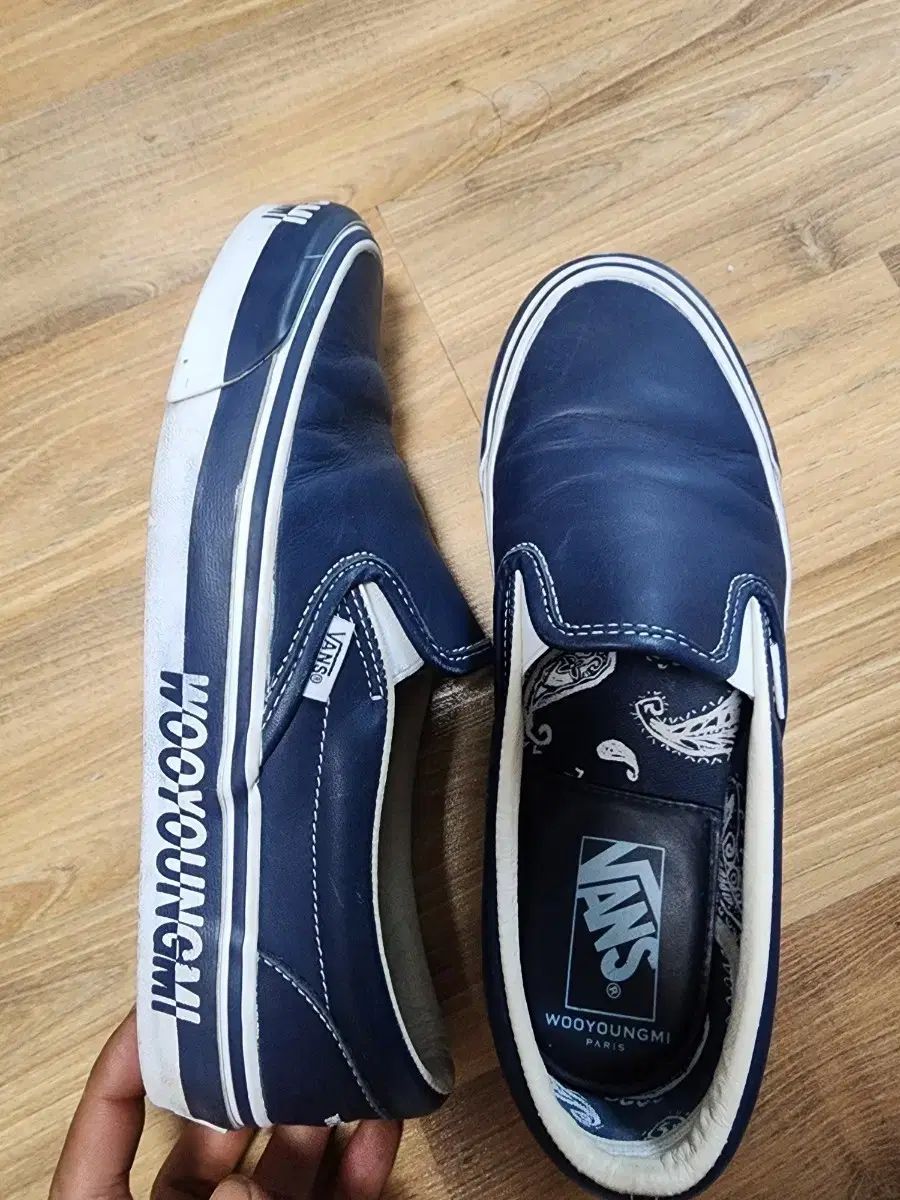 ウーヨンミ VANS 250mm