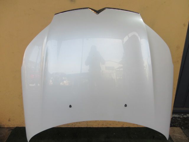 ボンネット シトロエン ABA-X75F02 H23年　 HSP0468-G2-5-2