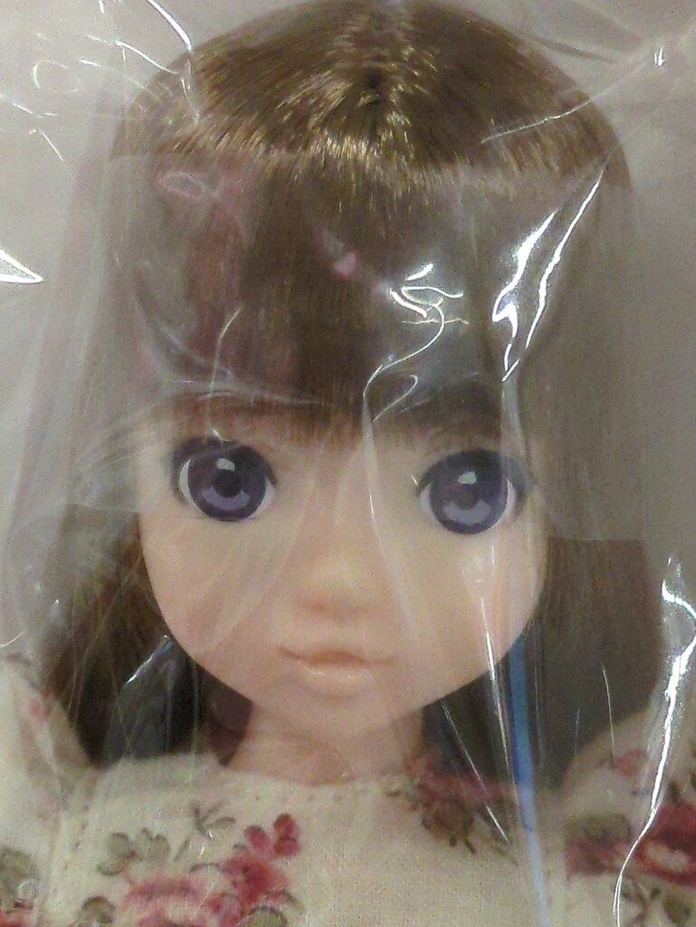 ペットワークス CCSgirl 14NY ruruko 20,717円