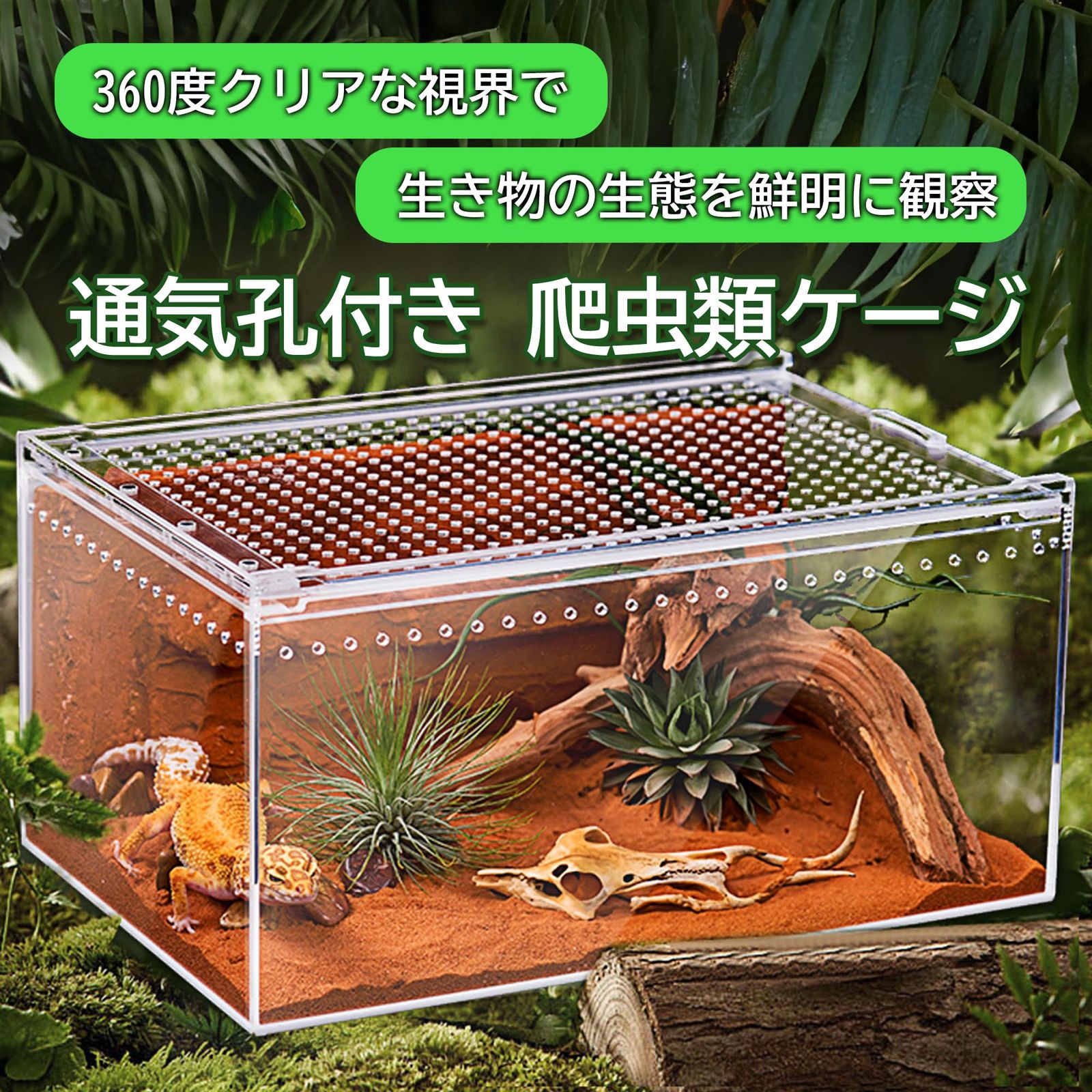 merrytime 爬虫類ケージ アクリル製 シェルター トカゲ 蛇 サソリ