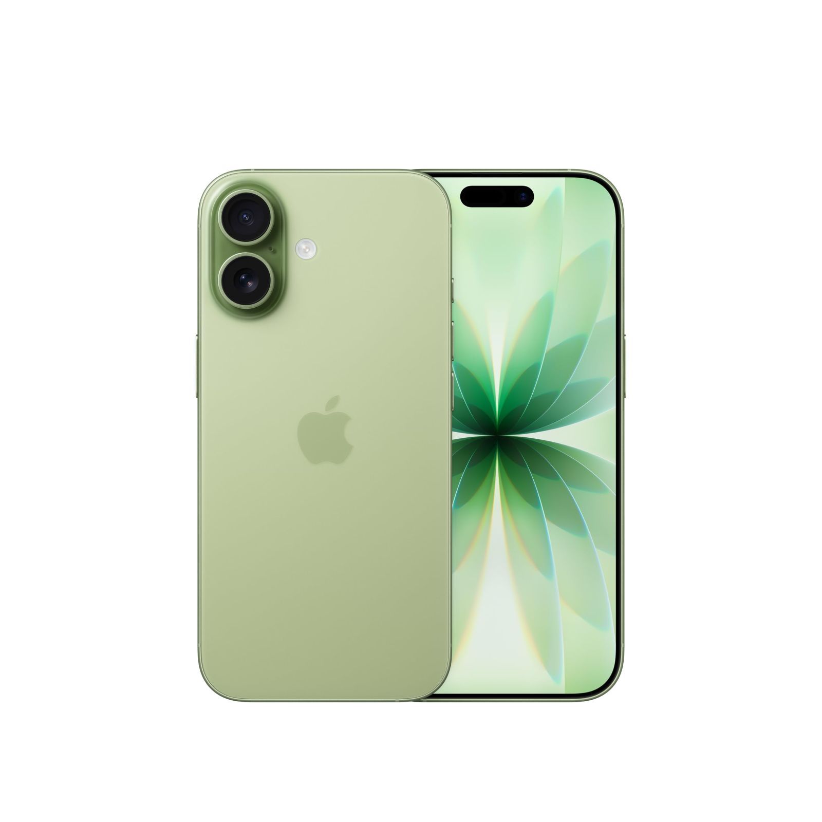 【数量限定】17 512GB iPhone (SIMフリー)：ProMotionを採用した6.3インチディスプレイ、A19チップ、グループセルフィーを一段とスマートに撮れるセンターフレームフロントカメラ、向上した耐擦傷性能、一日中使えるバッテリー；セージ Ap