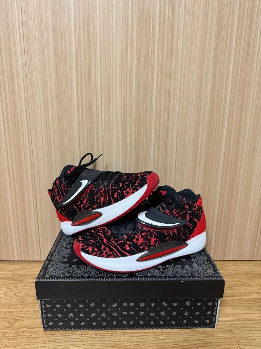 NIKE KD14 EP ブラック ユニバーシティ レッド