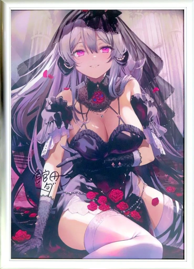 【中古】アニメムック 付属品付)館田ダン先生直筆サイン入りA3オーロラアート サキュバスの花嫁、リリス 42,250円