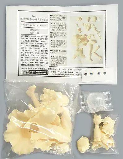【中古】フィギュア レム 「Re：ゼロから始める異世界生活」 1/6 ガレージキット トレジャーフェスタin有明16＆イベント限定