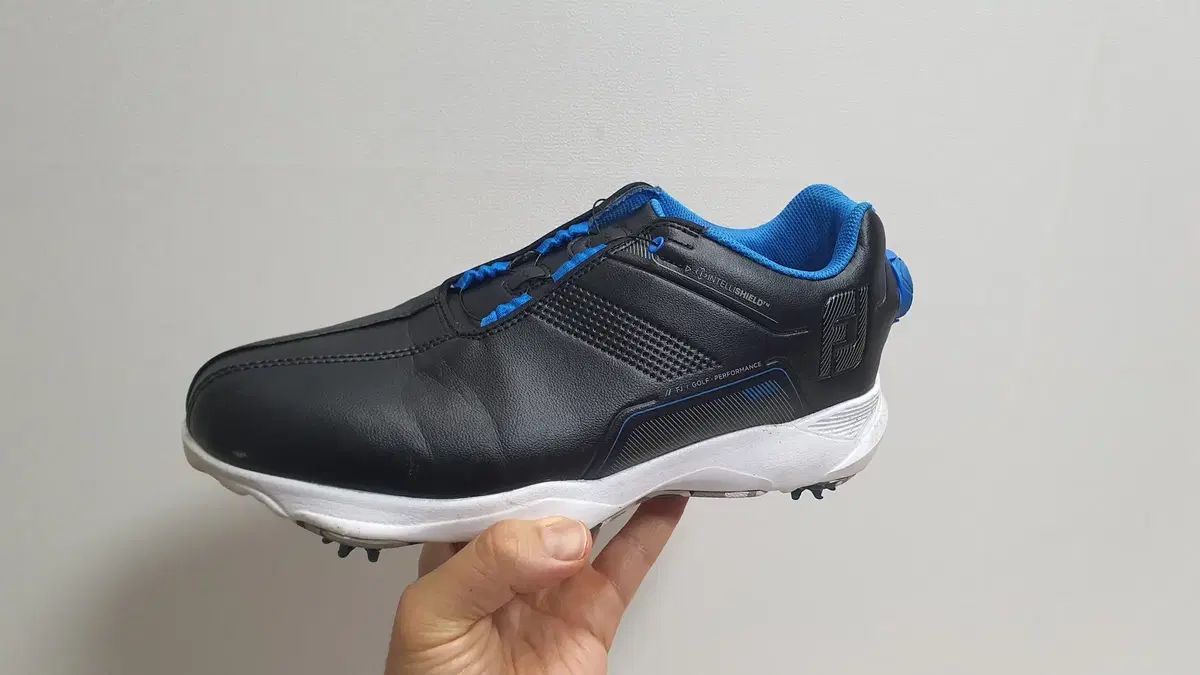 FootJoy ボア ゴルフシューズ 250mm 7,442円