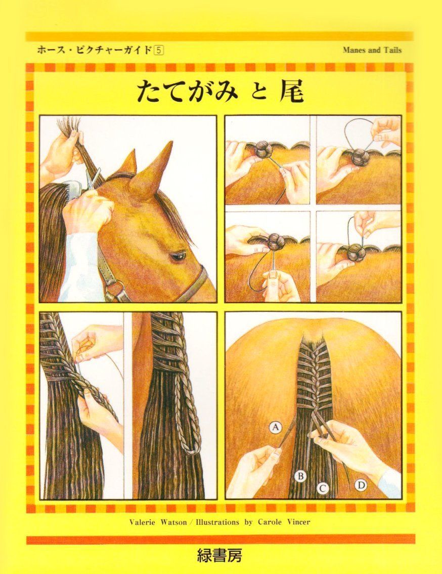 たてがみと尾 (ホ-ス・ピクチャ-ガイド) ヴァレリ-・ワトソン,山田和子(中古)