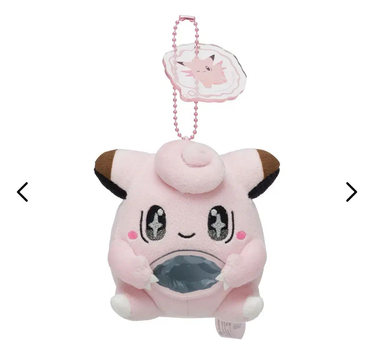 ポケットモンスター 진화의돌 BBIBBI ぬいぐるみ キーリング マスコット