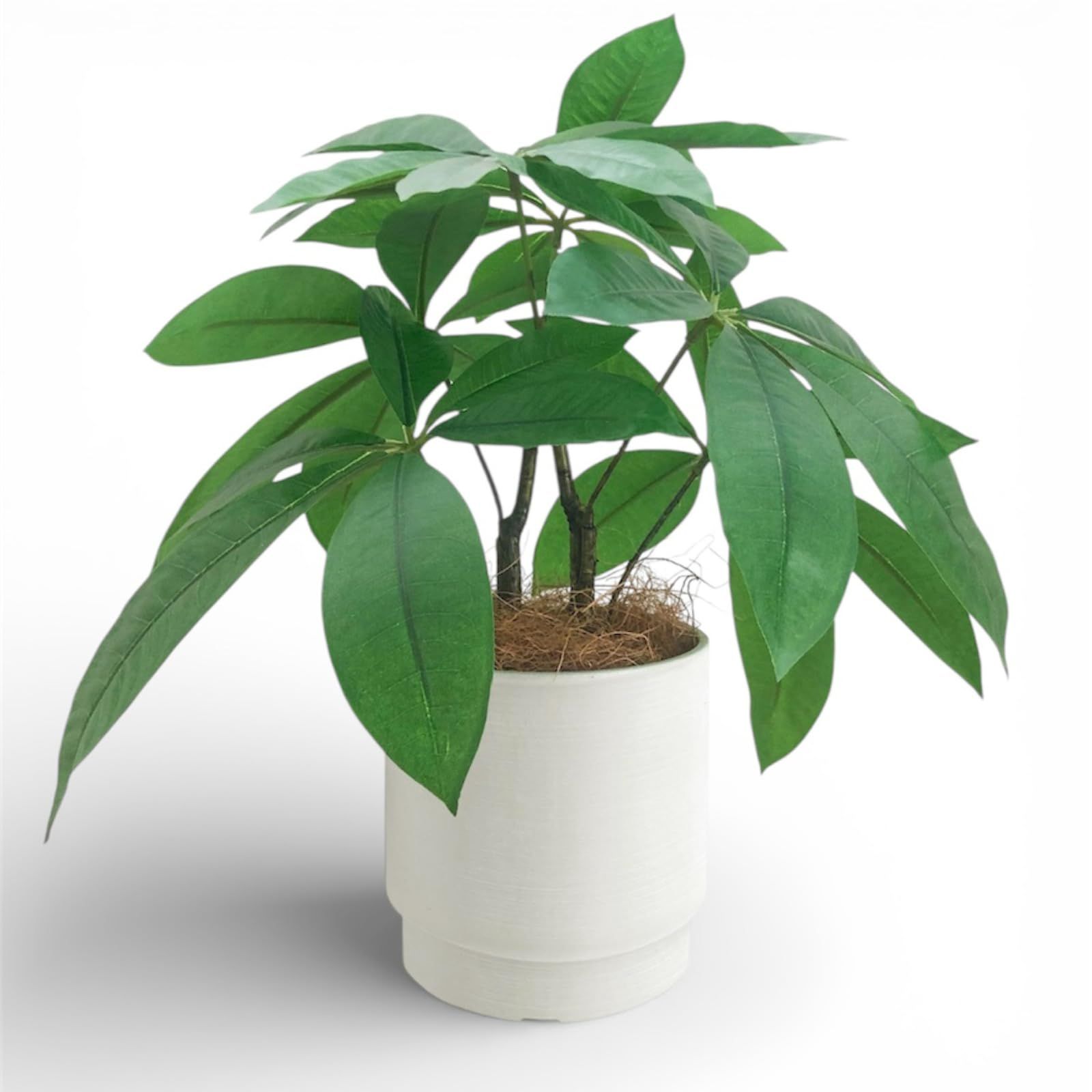 Rilmy（リルミー） フェイクグリーン 卓上 観葉植物 パキラ 造花 人工観葉植物 インテリア オシャレ インテリアグリーン ミニ フェイク 高さ33? 鉢カバー付き ココファイバー付 3点セット (パキラ)ｍａ