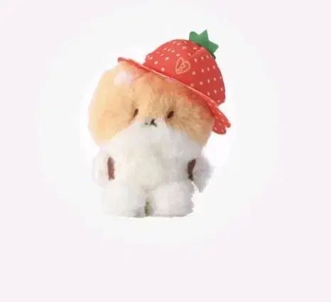 イチゴ トレギ TEOLAEGI ベクヒョン(BAEKHYUN) ぬいぐるみ