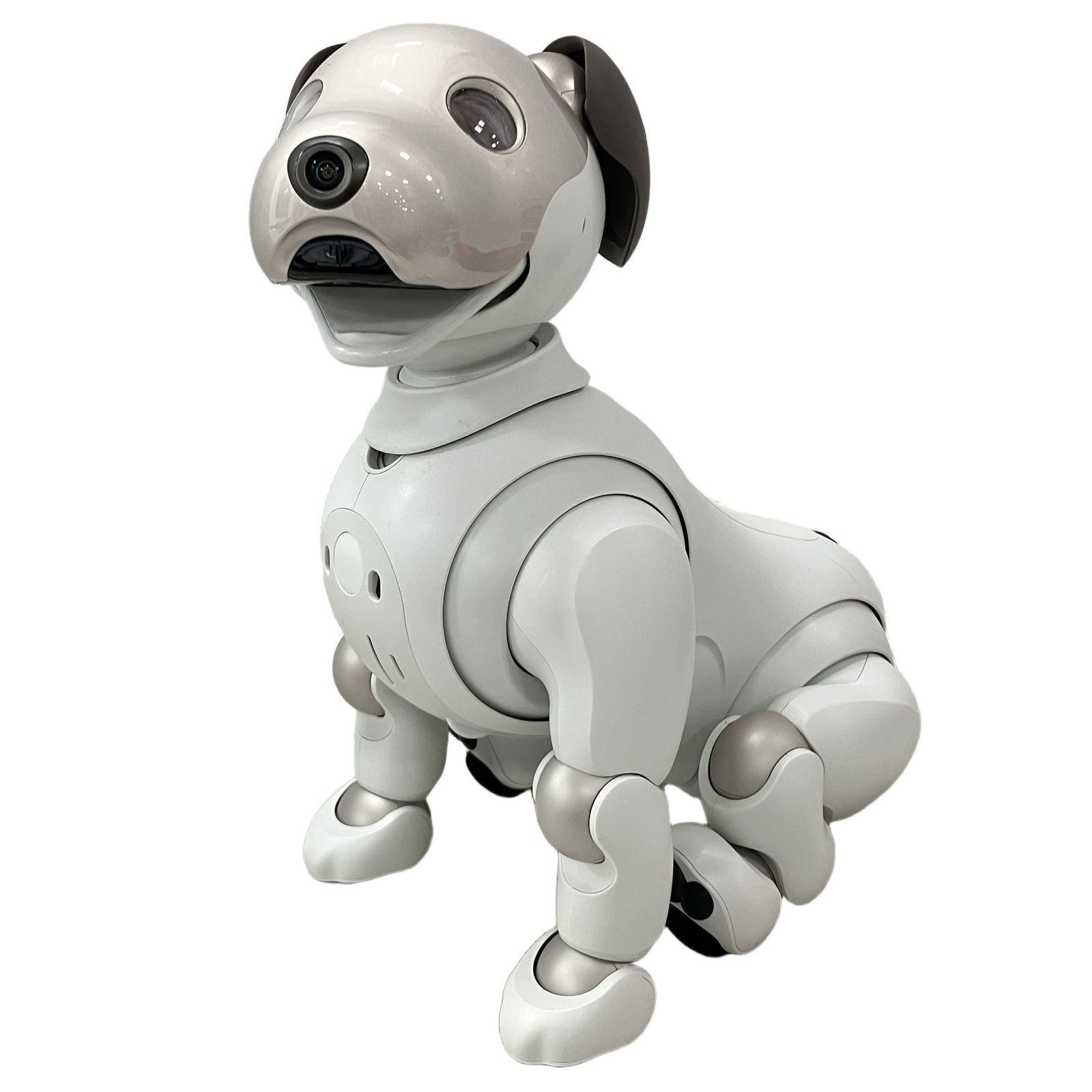 Sony aibo ERS-1000 アイボ 自律型エンタテインメントロボット 犬 ペット ソニー 中古 H11482139