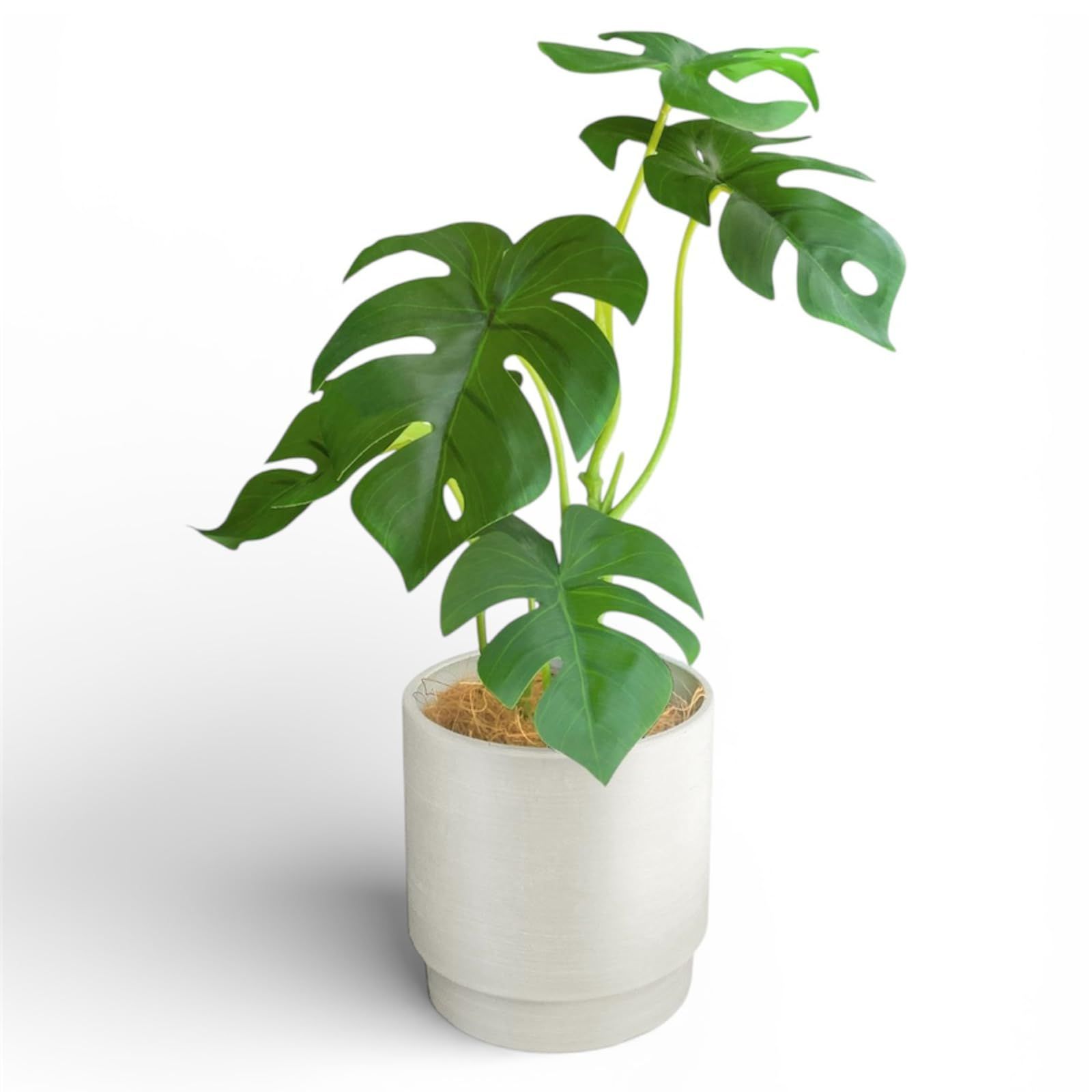 Rilmy（リルミー） フェイクグリーン 卓上 観葉植物 モンステラ 造花 人工観葉植物 インテリア オシャレ インテリアグリーン ミニ フェイク 高さ36? 鉢カバー付き ココファイバー付 3点セット (モンステラ)ｍａ 6,620円