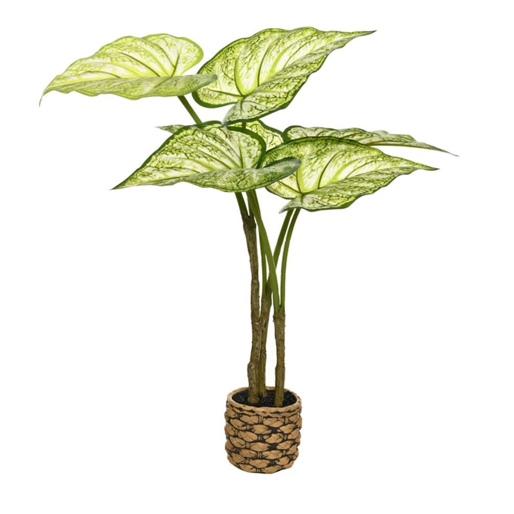 qinhome人工観葉植物 熱帯観葉樹 光触媒 フェイクグリーン フェイク大型 高さ65CM 簡単世話いらず 空気清浄 陶器鉢 鉢は取り外し不可 インテリア 屋内 リビング オフィス (ホワイト)ｍａ