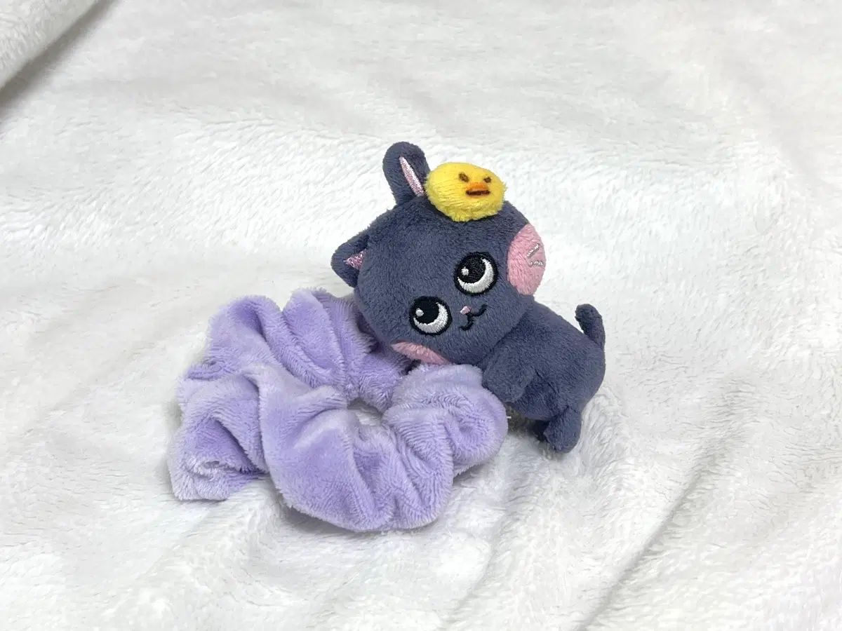 トゥーニャンダック SCRUNCH