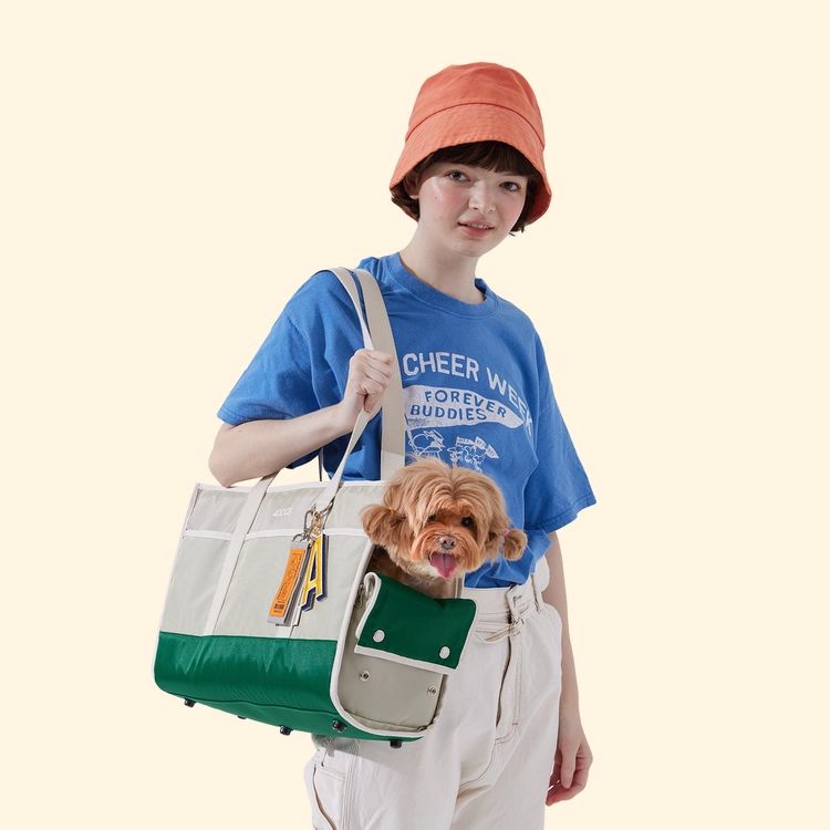 美品【4DOGS（フォードッグス）】オールデイバッグ ベージュ / ペットキャリー キャリーバッグ 超小型犬 小型犬 推奨体重：～5kg