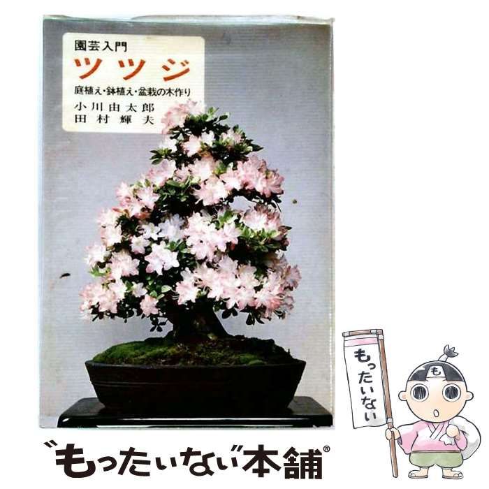 【中古】 ツツジ 庭植え・鉢植え・盆栽の木作り (園芸入門) / 小川由太郎、田村輝夫 / 主婦の友社 20,039円