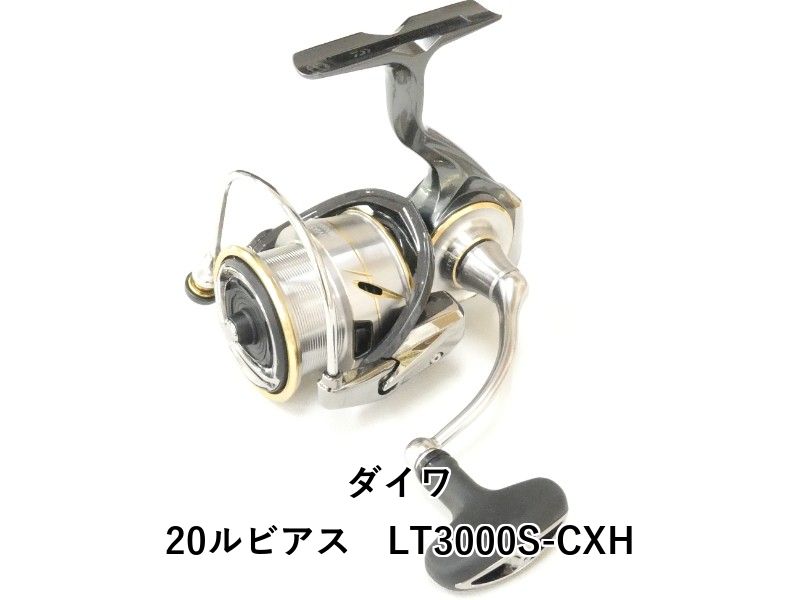 ダイワ 20ルビアス　LT3000S-CXH (04-9408120008)
