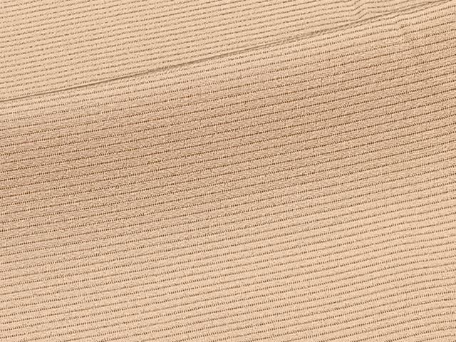 平和屋着物＊夏物　色無地　絽　伽羅色　正絹　逸品　CABJ9612xi