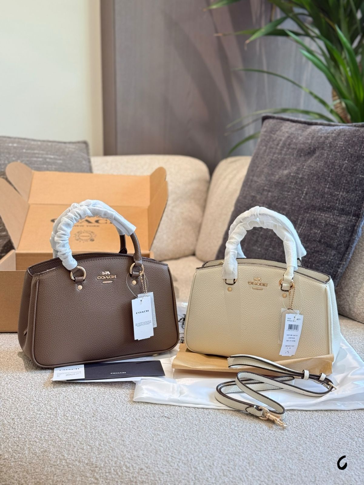 【今日特価】COACH Dinky Bag ディンキー バッグ