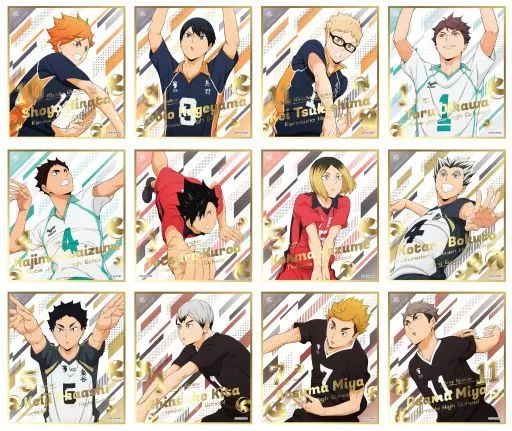 【中古】紙製品 全12種セット 「ハイキュー!! TO THE TOP ビジュアル色紙コレクション5」