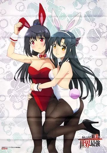 【中古】ポスター [単品] B2布ポスター 白崎香織＆八重樫雫 「Blu-ray BOX ありふれた職業で世界最強」 Amazon全巻購入特典