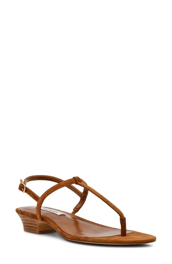 スティーブ マデン レディース シューズ ヒール サンダル Steve Madden Ralia Slingback Sandal Women CHESTNUT SUEDE