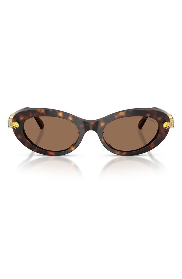 スワロフスキー レディース アクセサリー サングラス・アイウェア Swarovski 53mm Oval Sunglasses HAVANA DARK BROWN ブラウン