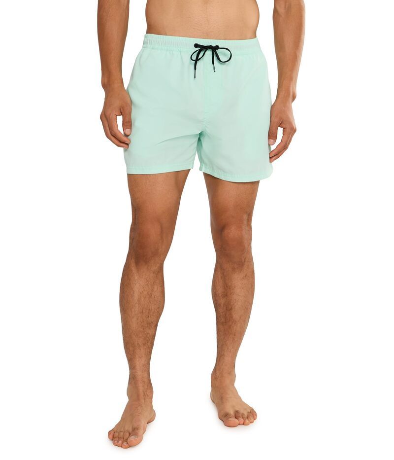 クイックシルバー メンズ 水着 ハーフパンツ・ショーツ Quik silver Everyday Solid 15 Volley Brook Green グリーン