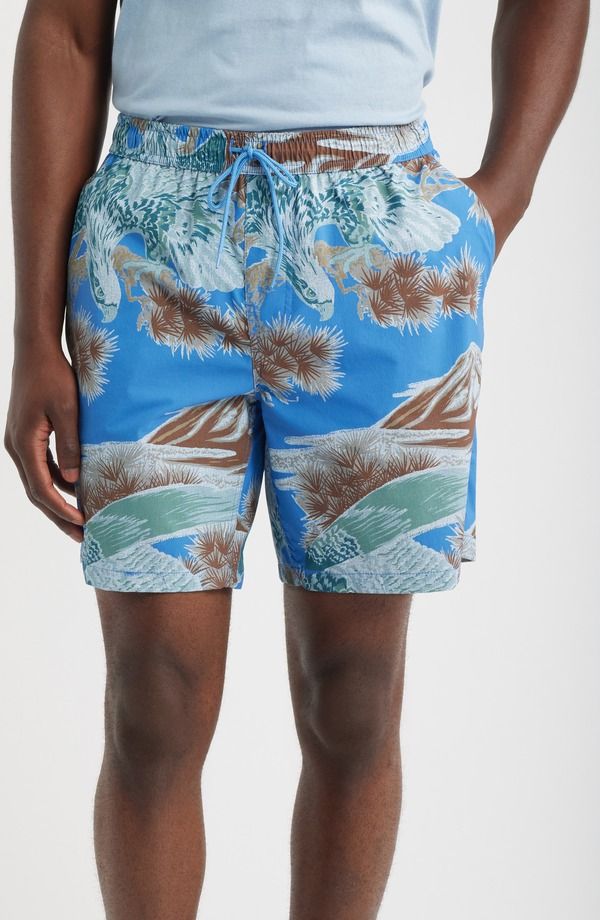 ブリクストン メンズ ボトムス ハーフパンツ・ショーツ ショートパンツ Brixton Rainier Everyday Hybrid Shorts BLUE SKY RAINIER ブルー