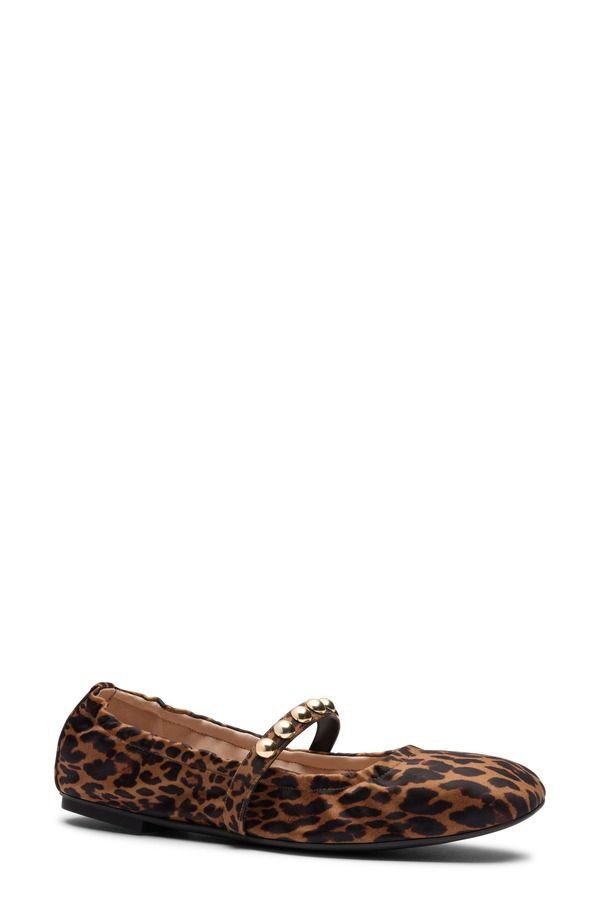 スチュアート ワイツマン レディース シューズ パンプス Stuart Weitzman Goldie Stud Ballet Flat Women LEOPARD NYLON SPORT SUEDE