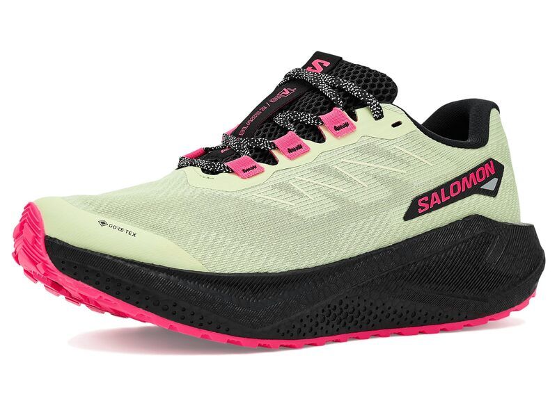 サロモン レディース シューズ スニーカー Salomon Aero Blaze 3 GRVL GTXR Butterfly