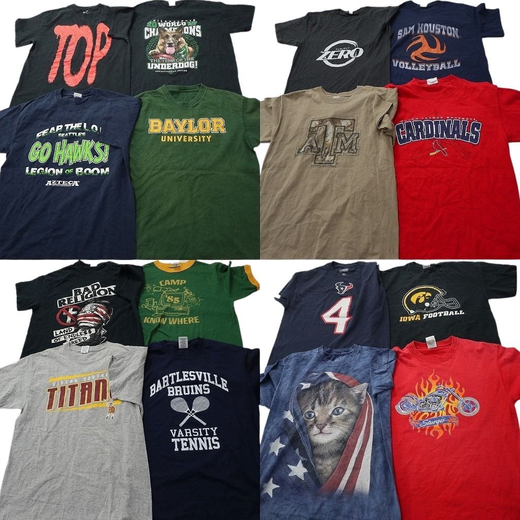 古着卸 まとめ売り プリント Tシャツ 16枚セット ( メンズ M ) 大判プリント アニマル ナンバリング リンガーT 中古 古着 NF9899