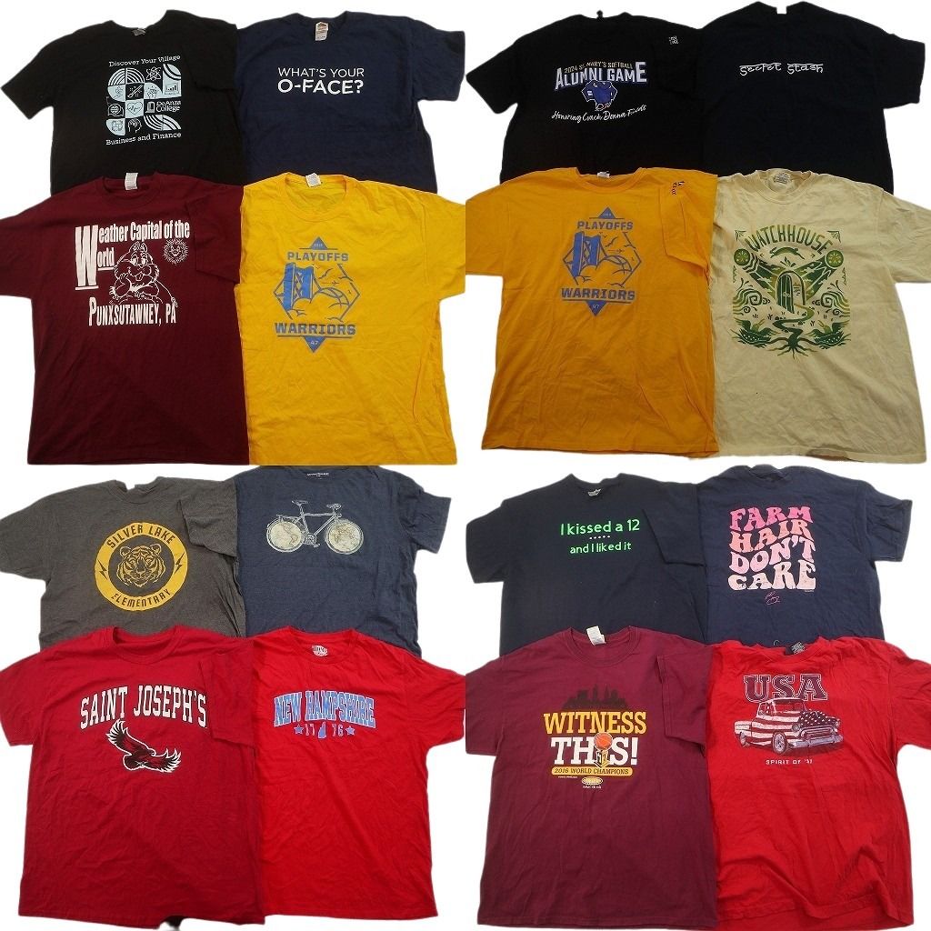 古着卸 まとめ売り プリント Tシャツ 16枚セット ( メンズ XL ) プロチーム NBA アニマルモチーフ カレッジ風ロゴ 中古 古着 NG0093