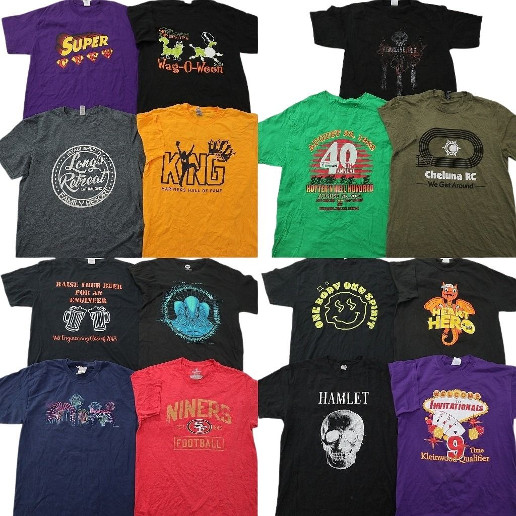 古着卸 まとめ売り プリント Tシャツ 16枚セット ( メンズ M ) スカル プロチーム NFL 英文字プリント 大判プリント 中古 古着 NG0114 13,206円