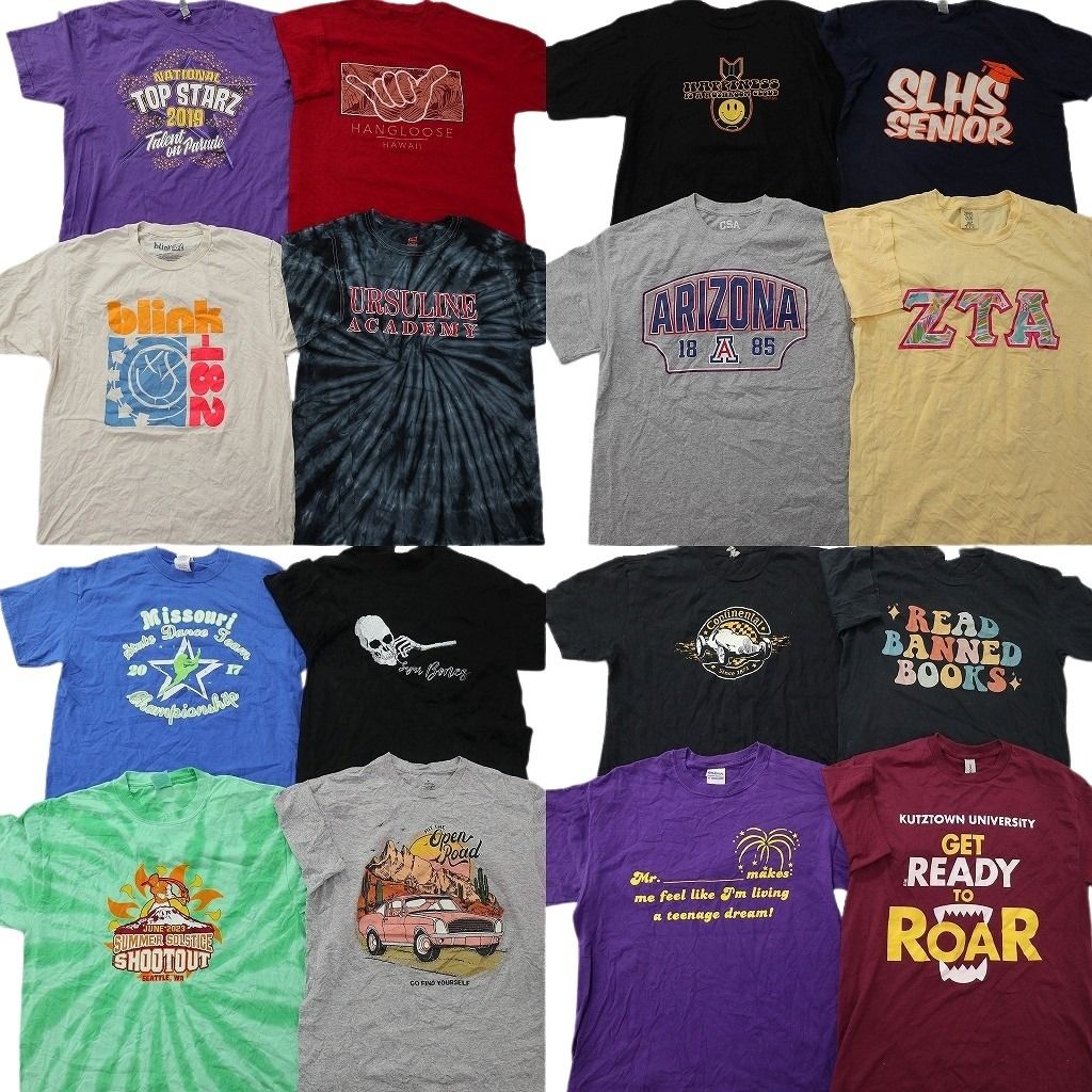 古着卸 まとめ売り プリント Tシャツ 16枚セット ( メンズ M ) スカル レーシング スマイリー 英文字プリント 大判プリント 古着 NG0115