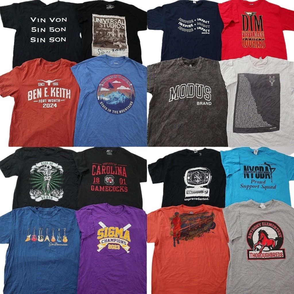 古着卸 まとめ売り プリント Tシャツ 16枚セット ( メンズ Ｌ ) アニマルモチーフ スカル ミュージック カレッジ風ロゴ 中古 古着 NG0118