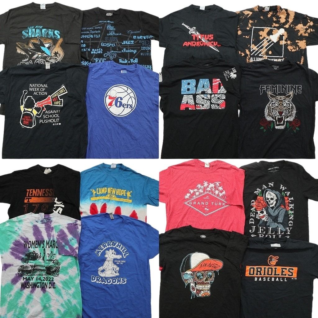 古着卸 まとめ売り プリント Tシャツ 16枚セット ( メンズ M ) プロチーム NBA 76ERS スカル アニマル タイダイ柄 中古 古着 NG0128