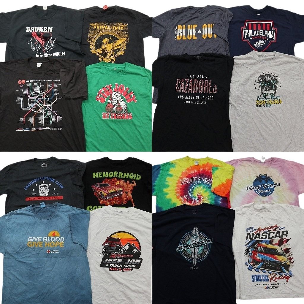 古着卸 まとめ売り プリント Tシャツ 16枚セット ( メンズ XL ) レーシング タイダイ柄 アニマルモチーフ プロチーム NFL 中古 古着 NG0133 13,764円