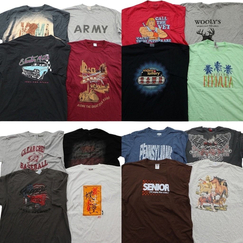 古着卸 まとめ売り プリント Tシャツ 16枚セット ( メンズ XL ) ミリタリー ARMY カレッジ風 アニマル 馬 中古 古着 NG0136 13,392円