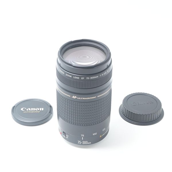 キヤノン Canon EF 75-300mm F4-5.6 II[並品] 7,784円