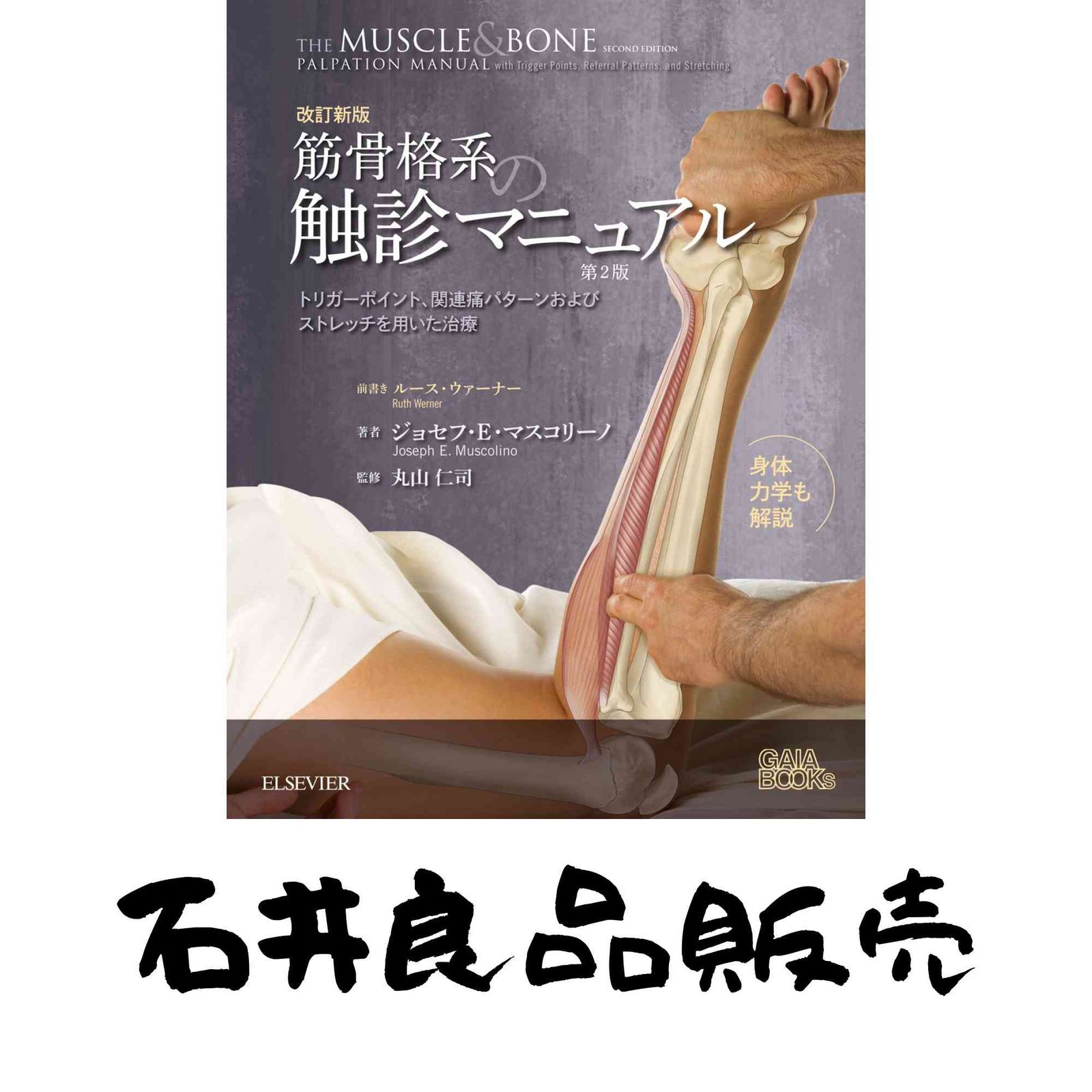 改訂新版 筋骨格系の触診マニュアル 第2版 ジョセフ・E・マスコリーノ? 丸山 仁司? ルース・ウァーナー(推薦); 藤田 真樹子