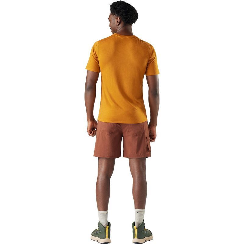 スマートウール メンズ トップス シャツ 半袖 Smartwool Merino ShortSleeve TShirt Mensquash