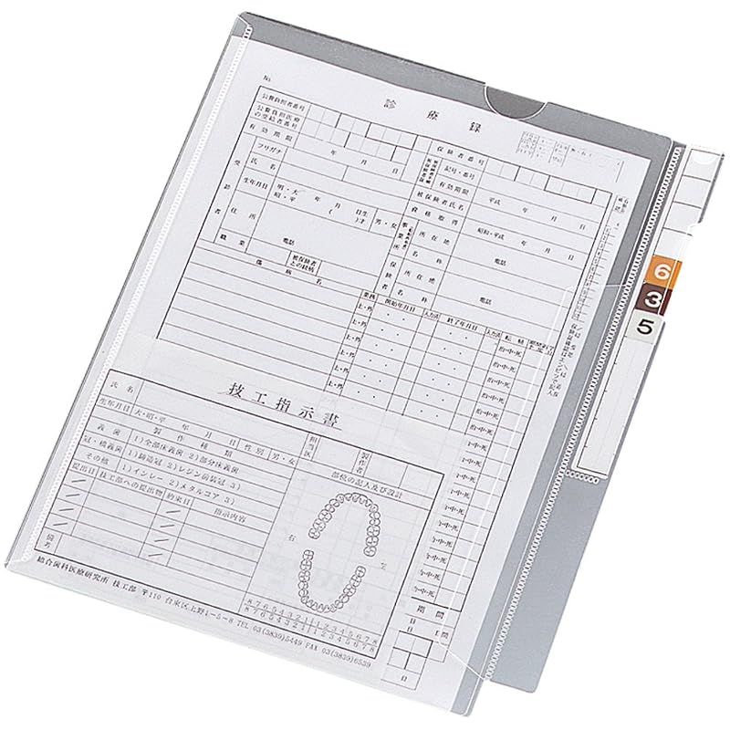 リヒトラブ カルテフォルダー フラップ付 A4 シングル 100枚入 HK2001 9,159円