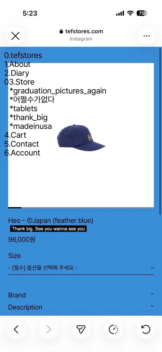 テフストアーズ Heo - Japan (feather blue) m
