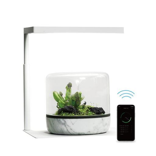 ONF 水槽 ライト LED ライト タイマー 付き アクアリウムライト 植物育成ライト 照明 適応サイズ 20 cm 25 cm 30 cm 36 cm スタンド式 淡水水槽 水陸両用 水族 LED 昼白色 高輝度 フルースペクトル … 25,693円